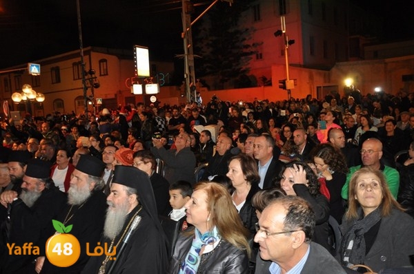 tree light 1208 (9).JPG